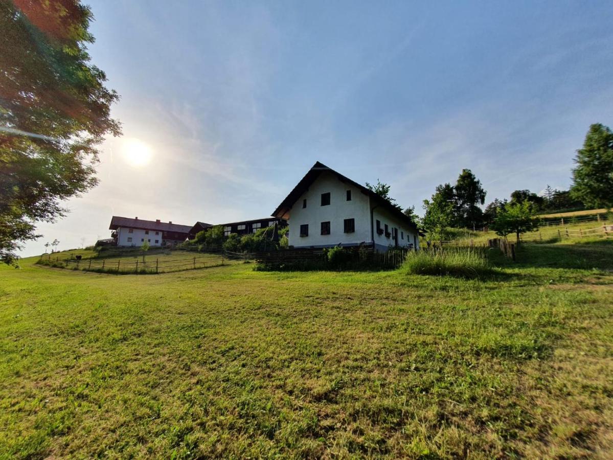 Ferienhaus Am Dachsberg, Bayerischer Wald Apartment Haselbach Exterior photo